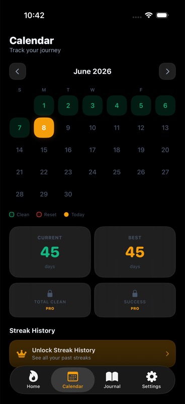 Celibacy Tracker calendar screen