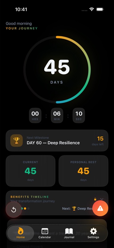 Celibacy Tracker home streak screen